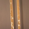 Untitled (Two Sticks)