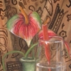 Spoon Cup