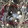 the red box of bottles