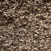 Fallen bees