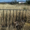 gate