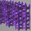 Digital Sketch