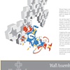 Bubble Wall: Seating + Climbing System