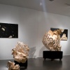 Installation View 5