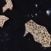 Space, the final frontier 