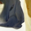 Self Reflective Deer - detail