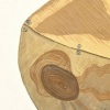 Sprung Snare - detail