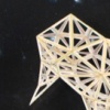 Space, the final frontier - detail