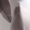 Dispossessed Protrusion - detail