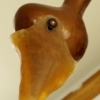 Ruminant penhart - detail
