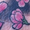 Lettering was already there