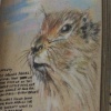 ALASKA  BOOK