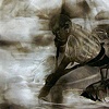 Tonal Reflections