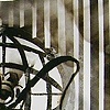 Untitled(horse with stripes)