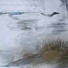 detail-"Welcome to America"