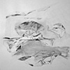 Drawings