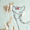 Nurse