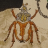 The Stories Beetles Tell (detail)