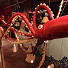 Giant Squid