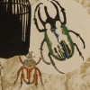 Stories Beetles Tell