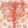 Kelly's Petals 2