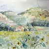 Sunflower Fields