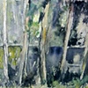 Wattle Trees
