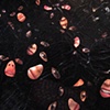 Holy Mountain (detail)