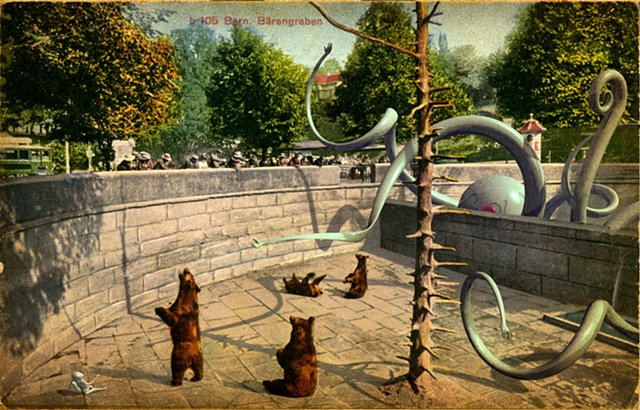 Feeding Time No Candy Bears
