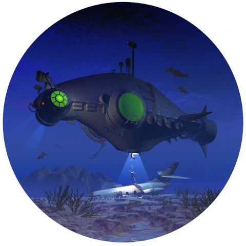 Subfish