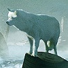 New Ice Age