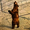 Feeding Time No Candy Bears