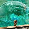 Water Wonderful World