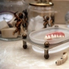 Soapdish Teeth