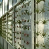 Fairchild Gardens
