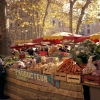 Aix en Provence Market
