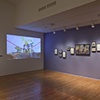 Installation shot of Country Ball 1989 - 2012 at The Studio Museum in Harlem exhibition Shift - Projects / Perspectives / Directions
