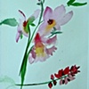 Delicate Spring
 by Tommy McDonell