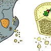 Betsy'sChristmas