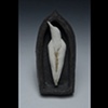 Bird in Arch