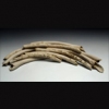 Bone Lore