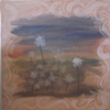 dandelions