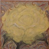 yellow rose