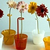 Flower Pot Vases