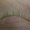 Melissa's Lashes Before