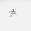 4/12/10, 1:52am (orgasm drawing)