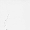 1/6/08, 4:24 - 4:28am (orgasm drawing)