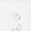 8/18/07, 2:56am (orgasm drawing)