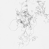 6:34pm-6:48pm, September 6, 2010 (orgasm drawing)