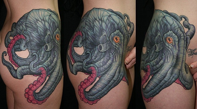 Octopus. Cover-up